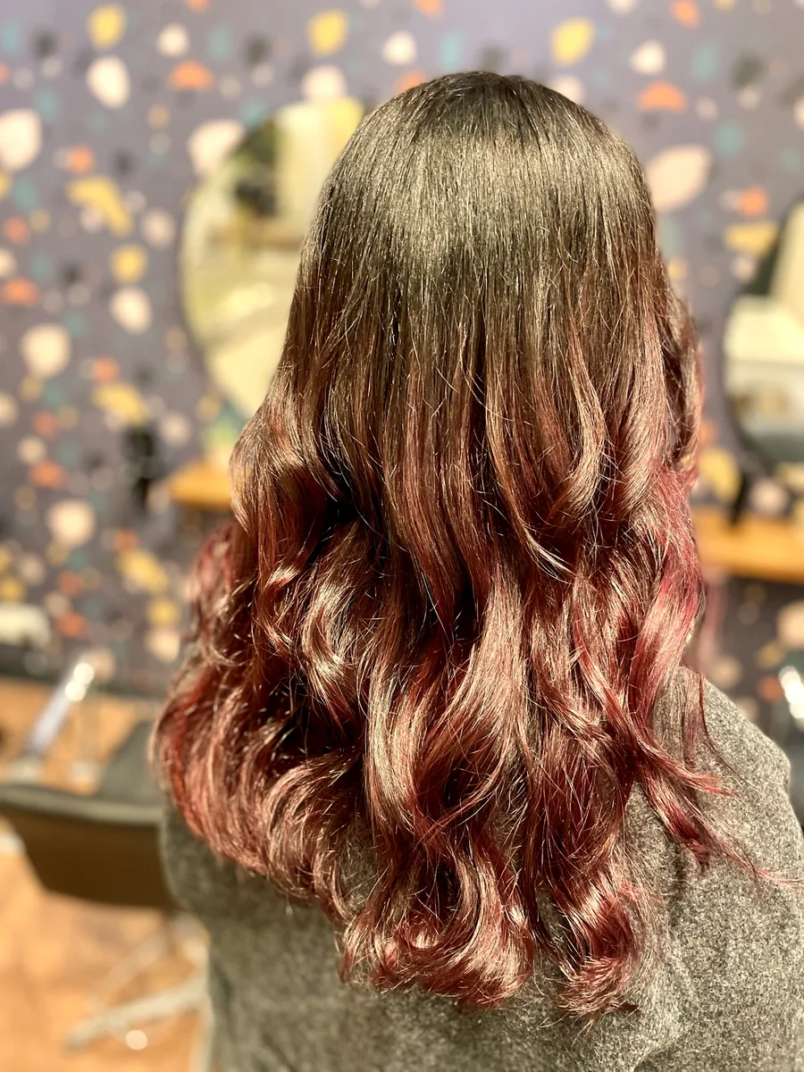 Deep brunette melting into rich cherry-red curls — bold dimensional color, back view.