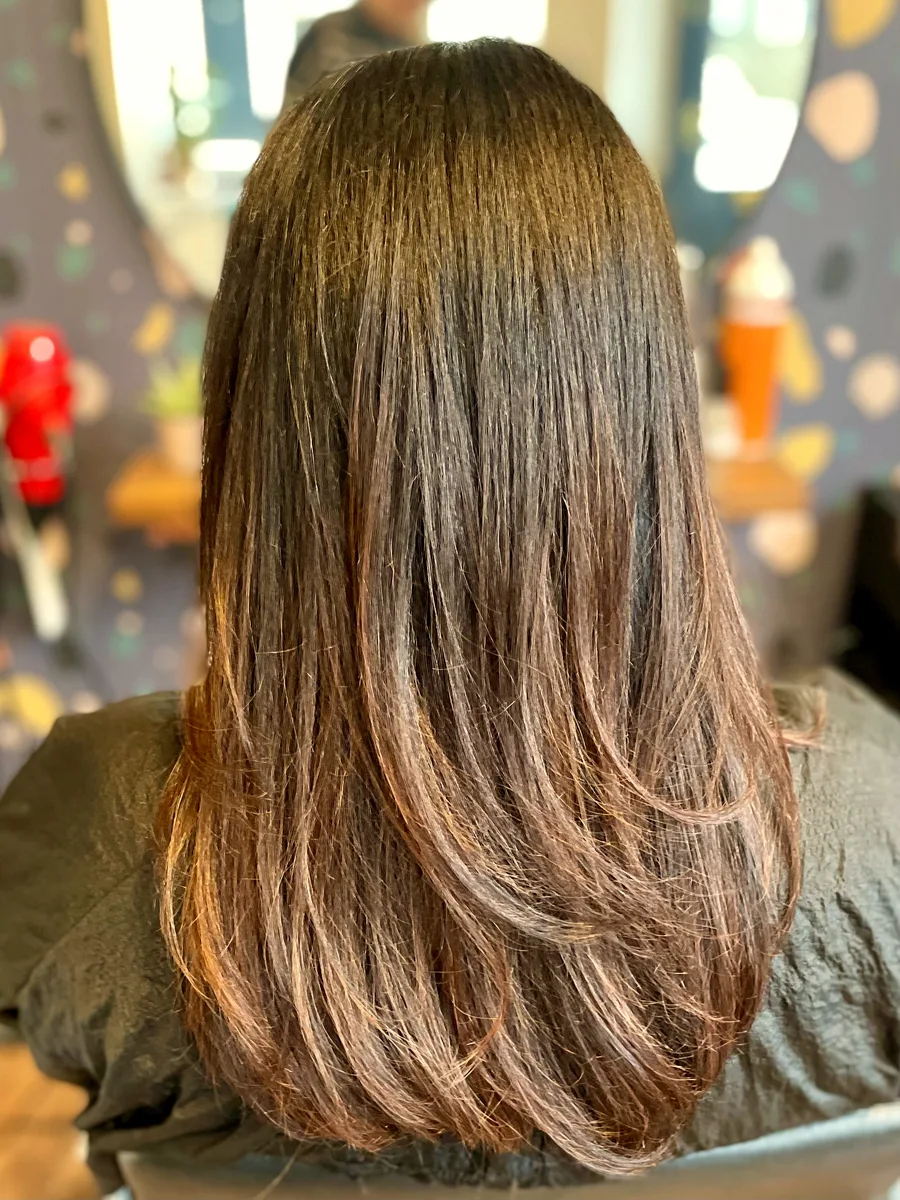 Sleek dark brunette hair with warm caramel ends in long blended layers — back view.